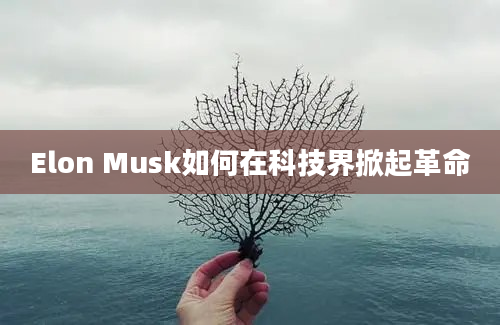 Elon Musk如何在科技界掀起革命