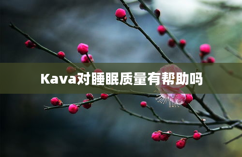 Kava对睡眠质量有帮助吗