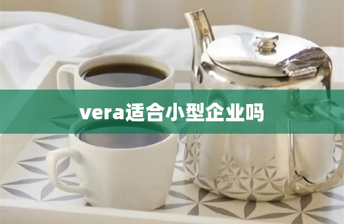 vera适合小型企业吗