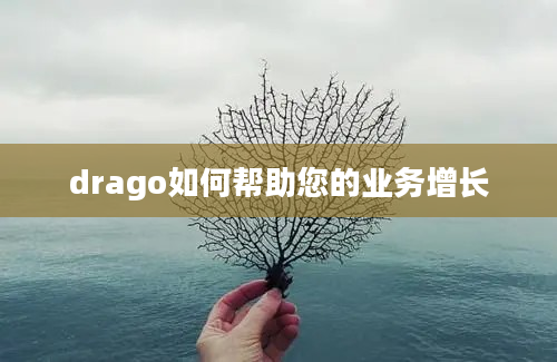 drago如何帮助您的业务增长