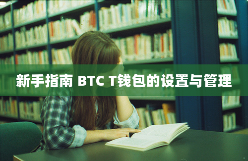 新手指南 BTC T钱包的设置与管理