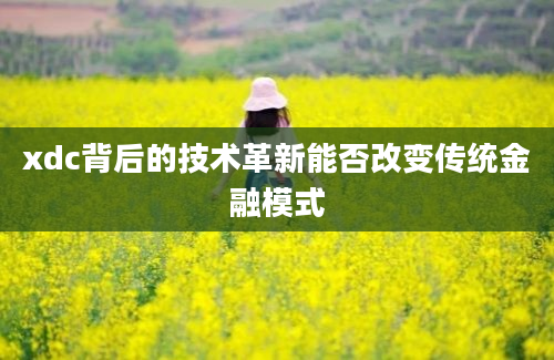 xdc背后的技术革新能否改变传统金融模式