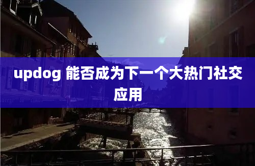 updog 能否成为下一个大热门社交应用