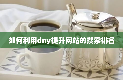 如何利用dny提升网站的搜索排名