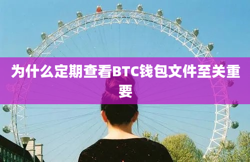 为什么定期查看BTC钱包文件至关重要