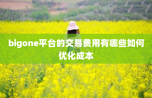 bigone平台的交易费用有哪些如何优化成本