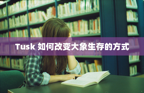 Tusk 如何改变大象生存的方式