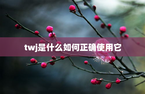 twj是什么如何正确使用它