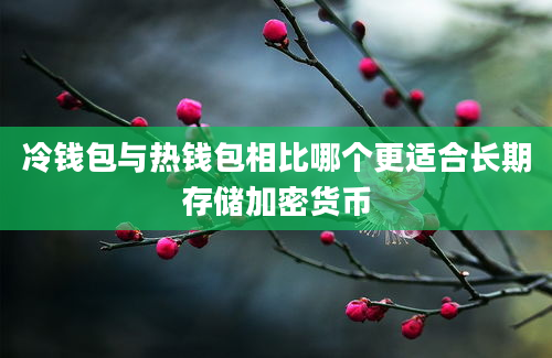 冷钱包与热钱包相比哪个更适合长期存储加密货币