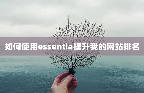 如何使用essentia提升我的网站排名