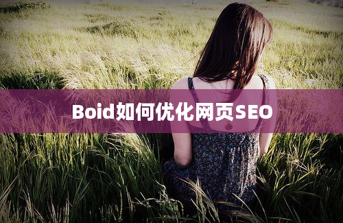 Boid如何优化网页SEO