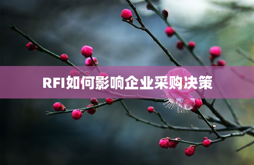 RFI如何影响企业采购决策