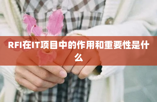 RFI在IT项目中的作用和重要性是什么