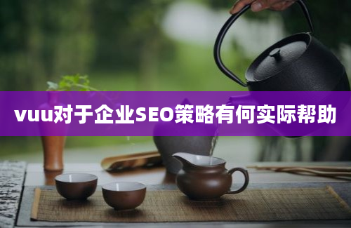 vuu对于企业SEO策略有何实际帮助