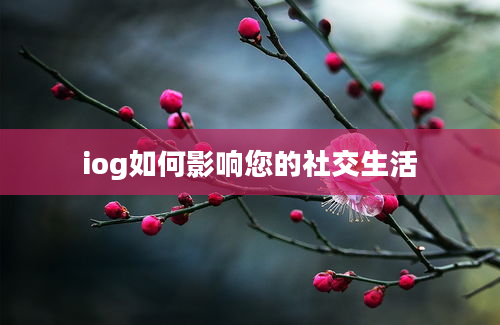 iog如何影响您的社交生活