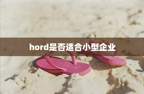 hord是否适合小型企业