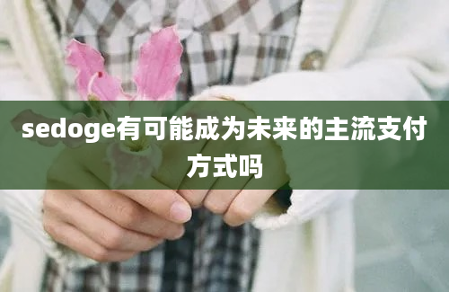 sedoge有可能成为未来的主流支付方式吗