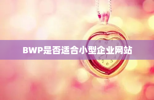 BWP是否适合小型企业网站