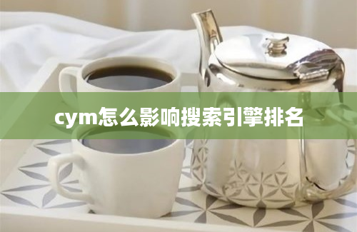 cym怎么影响搜索引擎排名