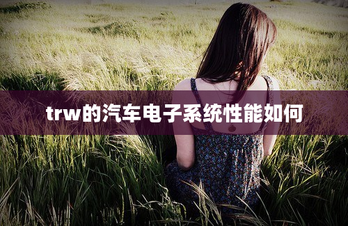 trw的汽车电子系统性能如何