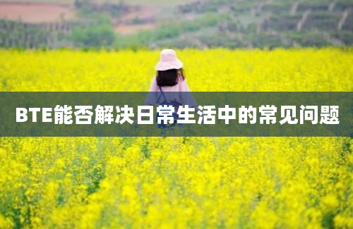 BTE能否解决日常生活中的常见问题