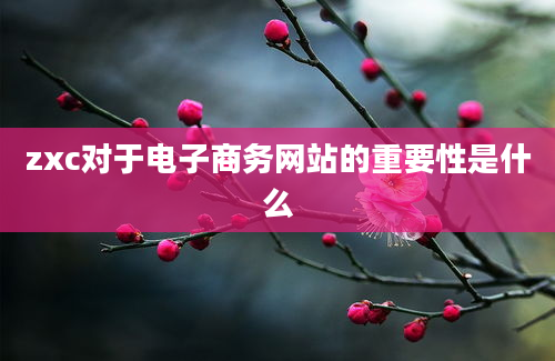 zxc对于电子商务网站的重要性是什么