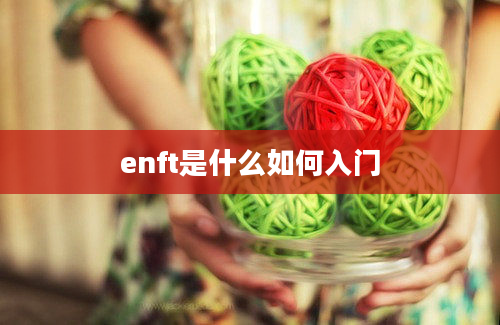 enft是什么如何入门