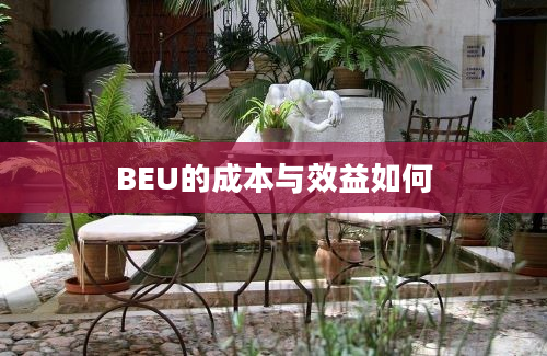 BEU的成本与效益如何