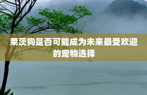 莱茨狗是否可能成为未来最受欢迎的宠物选择