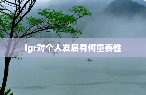 igr对个人发展有何重要性