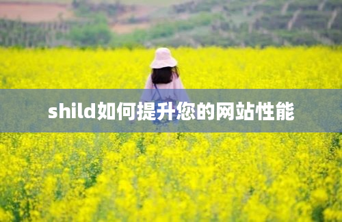 shild如何提升您的网站性能