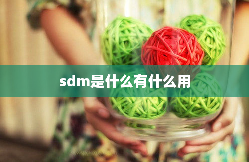 sdm是什么有什么用