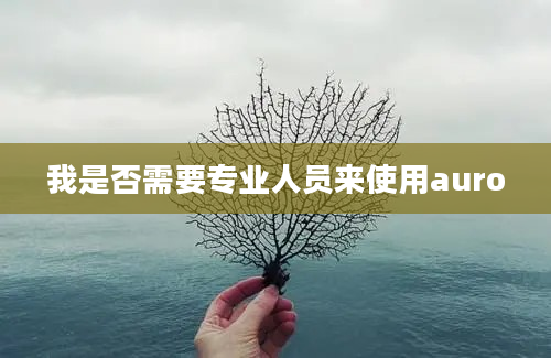 我是否需要专业人员来使用auro