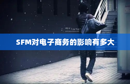 SFM对电子商务的影响有多大