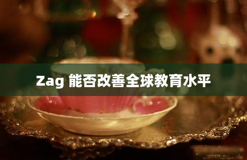 Zag 能否改善全球教育水平