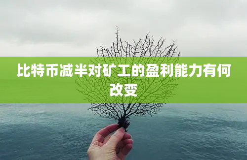 比特币减半对矿工的盈利能力有何改变