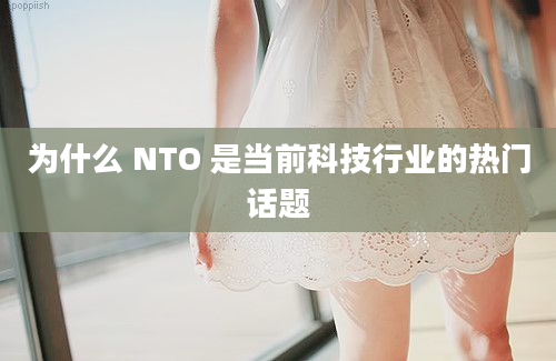 为什么 NTO 是当前科技行业的热门话题