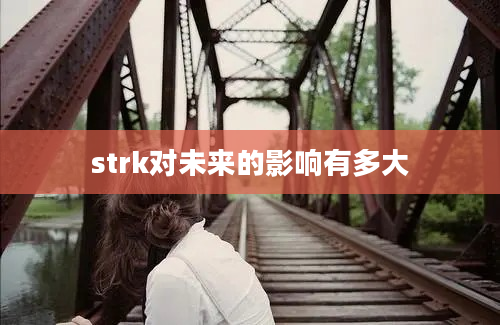 strk对未来的影响有多大