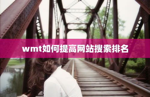 wmt如何提高网站搜索排名