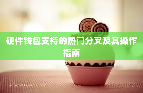 硬件钱包支持的热门分叉及其操作指南