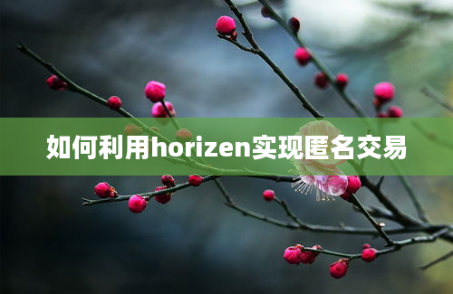 如何利用horizen实现匿名交易