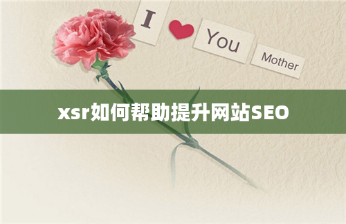 xsr如何帮助提升网站SEO