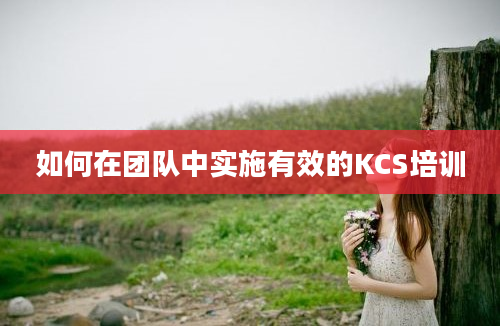 如何在团队中实施有效的KCS培训