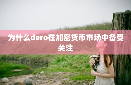 为什么dero在加密货币市场中备受关注