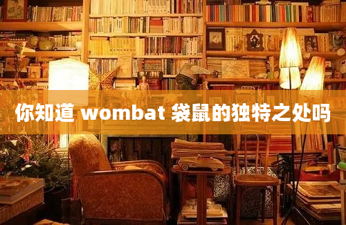 你知道 wombat 袋鼠的独特之处吗