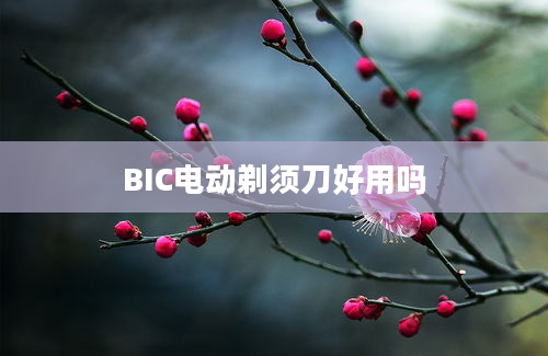 BIC电动剃须刀好用吗