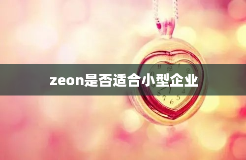 zeon是否适合小型企业