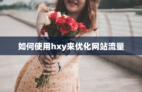 如何使用hxy来优化网站流量