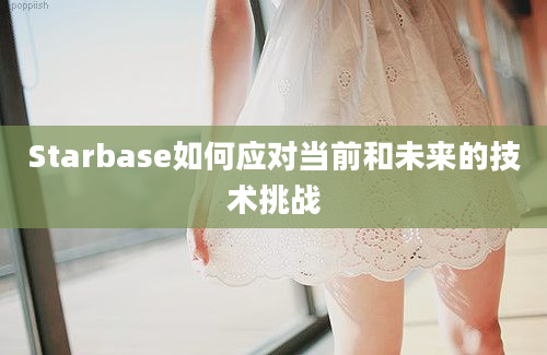 Starbase如何应对当前和未来的技术挑战