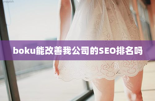 boku能改善我公司的SEO排名吗